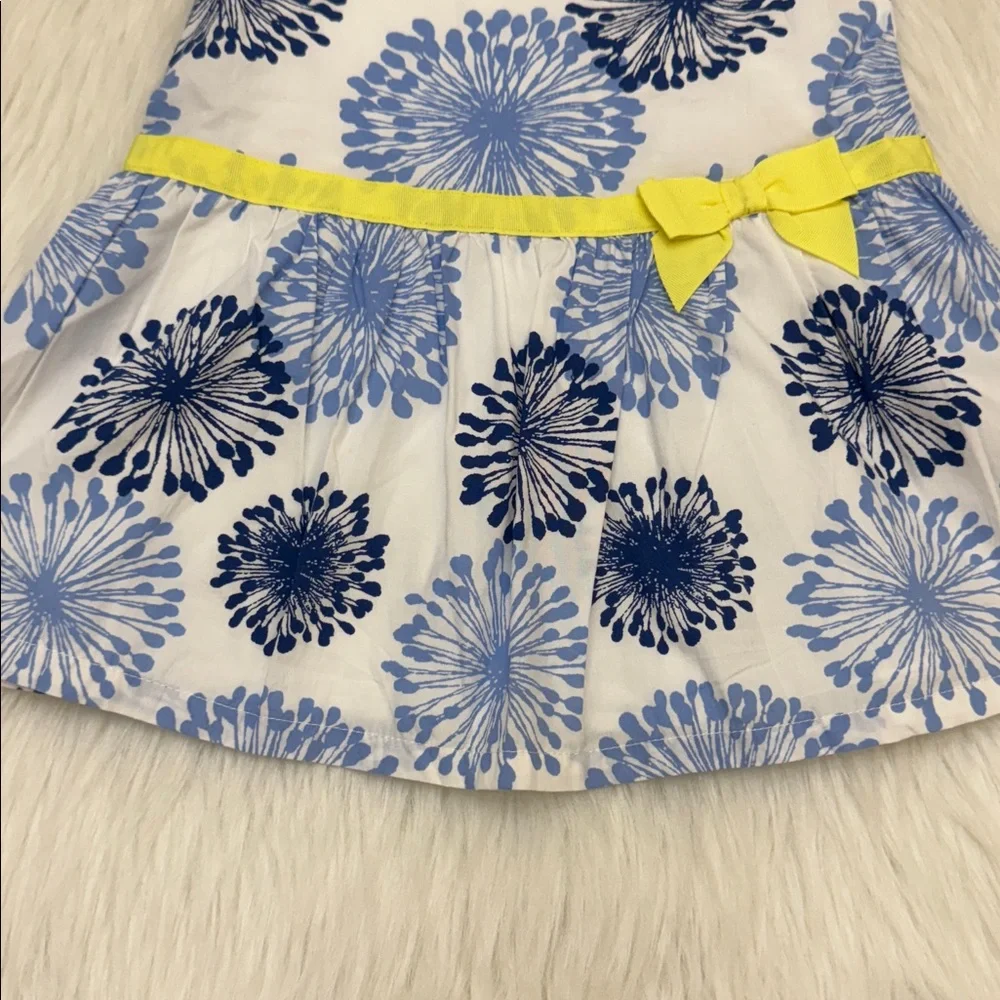 Gymboree Girls Pocketful Sunshine Dandelion Toddler Dress Blue & White 12-18M